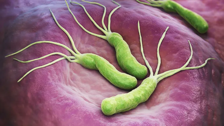 ما هي جرثومة المعدة؟ - مختبر رويال الطبي